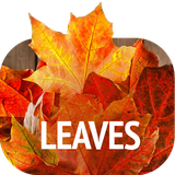 com.david_wallpapers.leaves