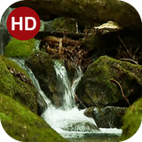 ir.hmh.PeaceLiveWallpaper_12