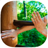 com.Digital.Sports.Group.Wing.Chun.Training