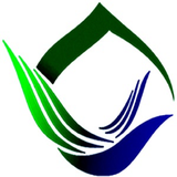 hami.nasimbehesht724