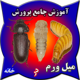 ir.toyoorkadeh.mealworm