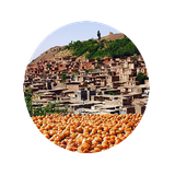 com.bamhayetalayi.book