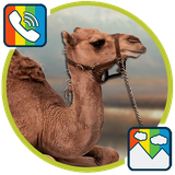 com.camel.ringtones