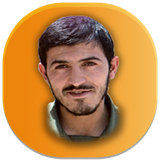 com.shahidzeynoldin.alirezasajedi