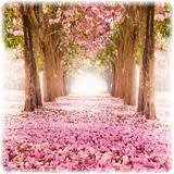 smile.com.JigsawPuzzles