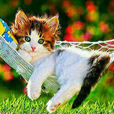 com.app.myapp.mjXNnexPyC