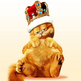 com.ebi_shk.Garfield