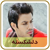 com.parsa.delshekasteh