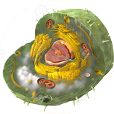 eleven.zist.cilick.anew.com.example.sahar.zistten