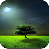 com.Naturewallpaper.Naturepicture