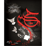 ir.mehdi.ziaratashura