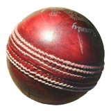 com.Sonnar.BlindCricket