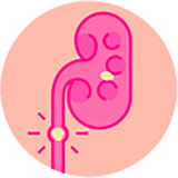 com.hanivan.sangkolie