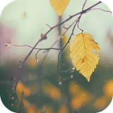 com.leafgreen.vintage