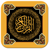 com.sashadroid.stekhareherfe