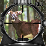 com.koolgames.deer.hunter