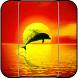 com.sunrise.wallpaper.sunrisebestwallpaper