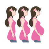 com.app20.pregnancy