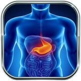 ir.parsima.bimarimedeh