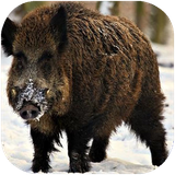 didar.anvaekhukhavagavaznha