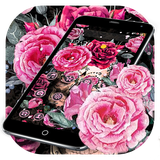 com.launcher.theme.t211812254