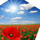 com.JavanApp.gollaleh