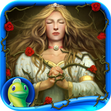 com.bigfishgames.dpcotbrgoogfree