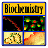 com.onlineeducare.basicbiochemistry