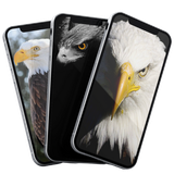 eagle.wallpaper.backgrounds