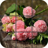 com.tordusgames.puzzles.flowers