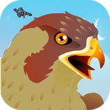 com.iDigiGames.falcon