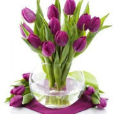 ir.gole.masnioee.besaz.d