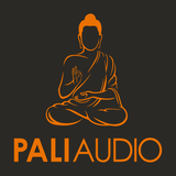com.pali.paliaudioapp