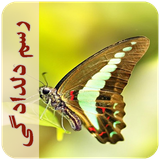 com.imnet.rasmedeldadegi