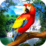 com.animalsimulatorsonline.parrot.survival.simulator