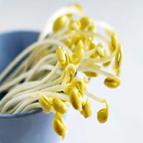 khavas.javaneha1.shamim64