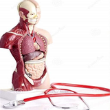 com.andromo.dev706301.app774780