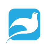 totikhone.parrot.app