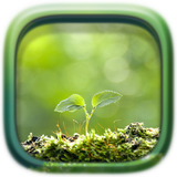 com.oaisy.puzzle.plants