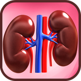 ir.tinasoft.zist10_AA