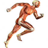 com.example.yousef.myapplication