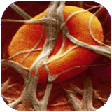 mobtaker.bimarihayevigirdar