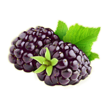 com.AK.hesab_shopping