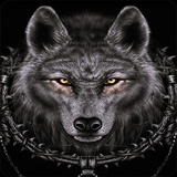 com.rr.wolfwallpapers
