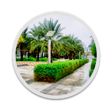 hafez.roodkhane.people