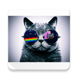 com.example.yonko.funnyface