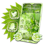 com.oaksu.green.floral.themeapp