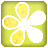 ir.rana.wallgallery.flower1