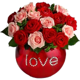 com.Flower.Night_Gif