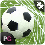 com.persiagraph.puzzroid2016.football